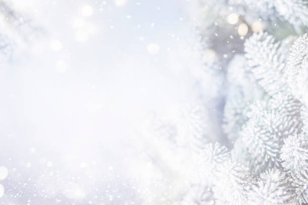 istock Holiday background with christmas tree 1080363110