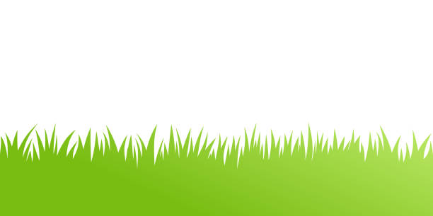 緑の草をベクター: 自然、有機、バイオ、環境ラベル、白の背景上の図形 - 芝草点のイラスト素材／クリップアート素材／マンガ素材／アイコン素材