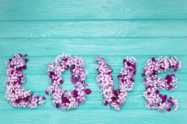 napis miłość wykonana z fioletowych kwiatów wiśni na niebieskim drewnianym tle. elementy projektu na walentynki. - cherry valentine zdjęcia i obrazy z banku zdjęć
