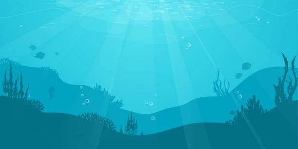 ilustraciones, imágenes clip art, dibujos animados e iconos de stock de fondo plano submarino dibujos animados con silueta de peces, algas, coral. vida del mar océano, lindo diseño - poco profundo