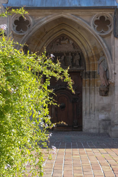 istock green plant before historical church facade 1080383104