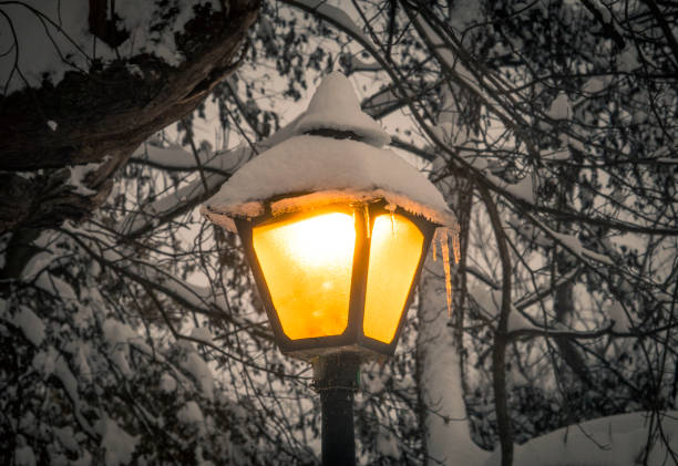 istock Street light in the snow 1080384390