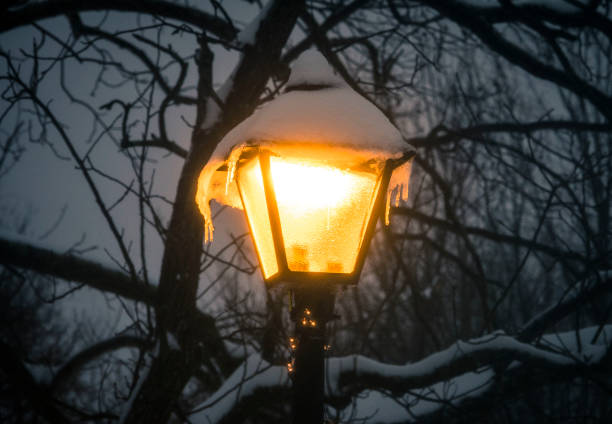 istock Street light in the snow 1080384442