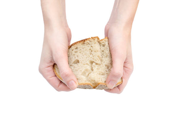 istock Woman's hands breaking piece of bread. Isolated on white. 1080386092
