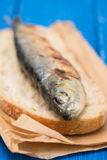 istock griiled sardine on bread  on blue wooden background 1080386616