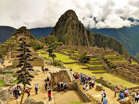 Machu Picchu Inca Ruins\nPeru