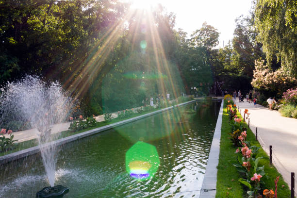 istock Fountain in the summer park 1080396868