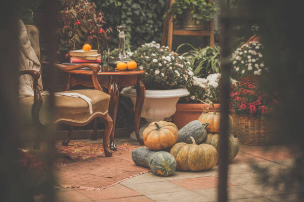 istock Cozy armchair and coffee table in backyard 1080411704