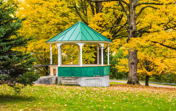 istock Bandstand in the Park 1080414200