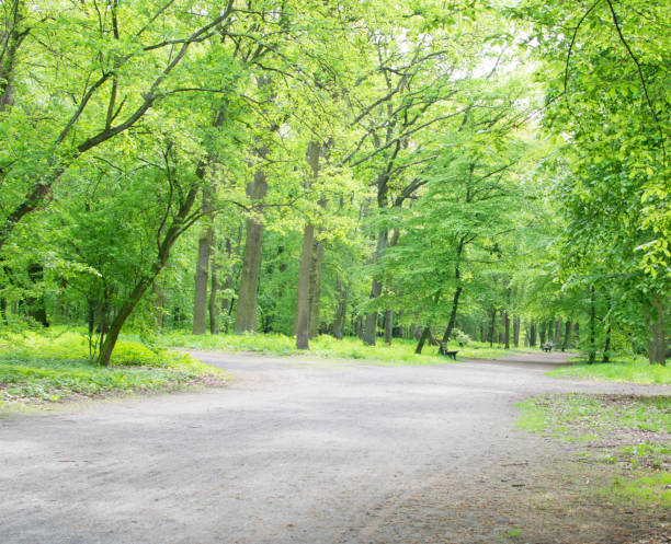 istock Country Path in Old Green Park 1080415812