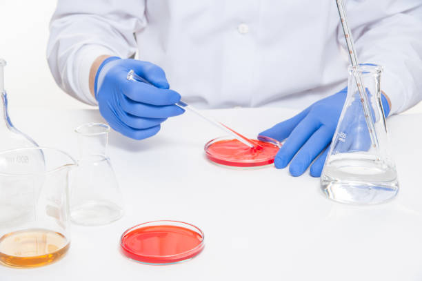 istock view of a human hands in the laboratory while performing experiments 1080423648