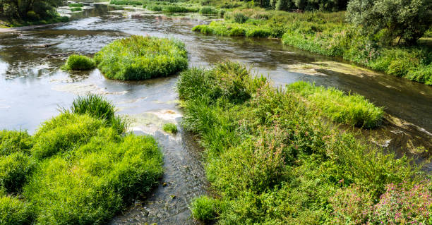 istock Shallow water in River Wornitz, Harburg, Germany 1080423888