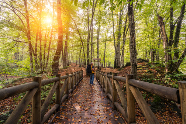 istock Senior man exploring nature in autumn 1080424522