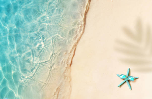 istock Starfish on the summer beach. Summer background. Tropical sand beach 1080426646