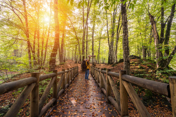 istock Senior man exploring nature in autumn 1080426700