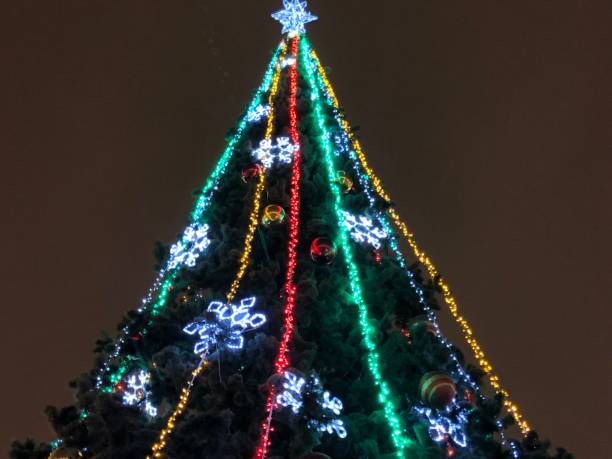 istock Christmas,Tree,Holidays,Celebrations 1080426716