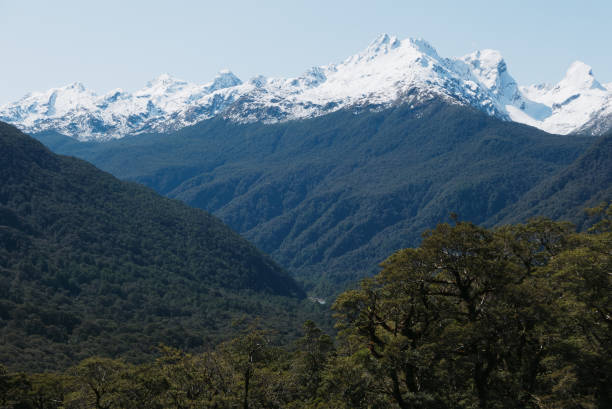istock New Zeland Mountain Landscape 1080430126