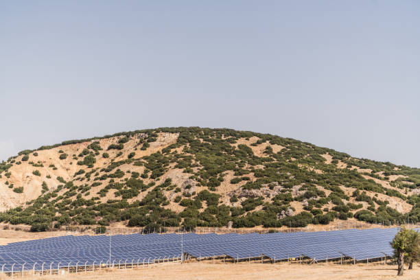 istock Solar panels in the field 1080434618