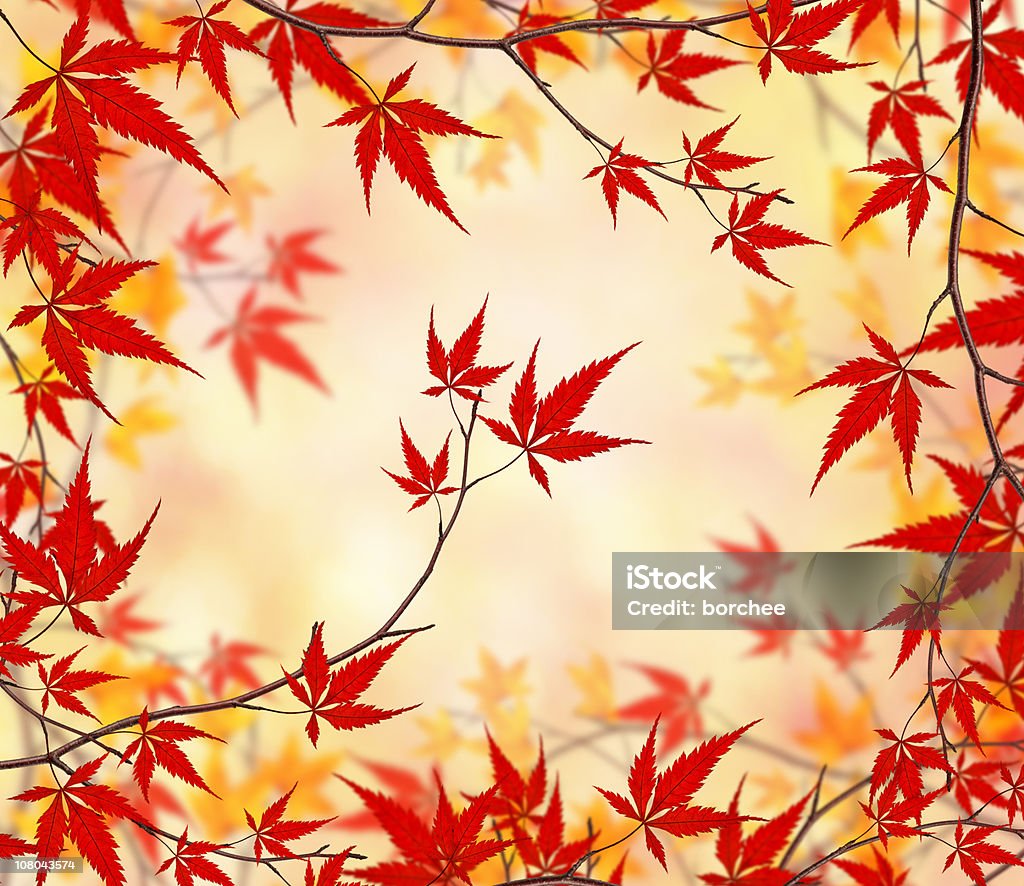 A beleza de outono - Foto de stock de Abstrato royalty-free
