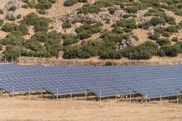 istock Solar panels in the field 1080438110