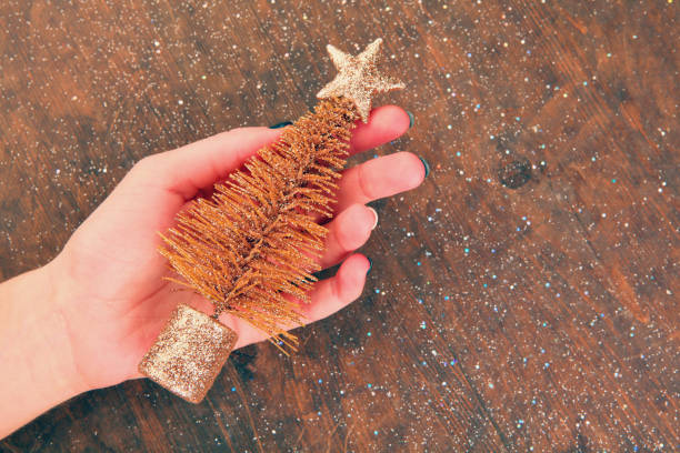 istock miniature fir tree woman hands 1080438262