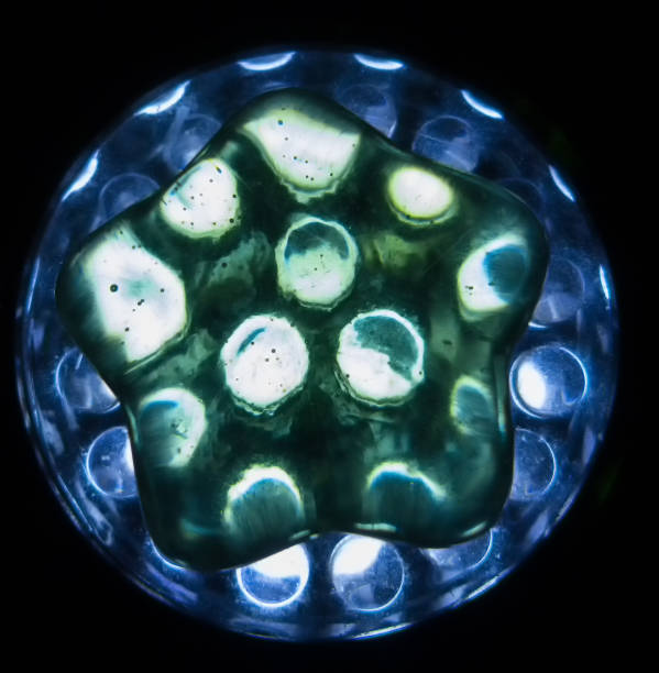 istock Glass star over a bunch of leds 1080439620