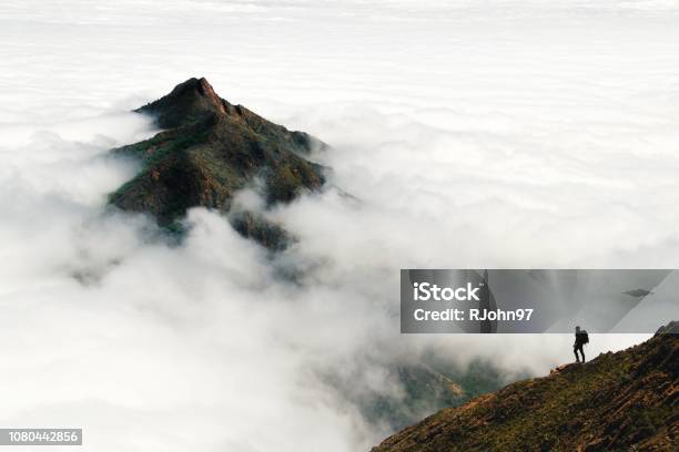 An Adventurous Male Traveler Looks Out Over A Mountain Peak Rising Above A Thick Layer Of Clouds In Chiles Parque Nacional La Campana Stock Photo - Download Image Now