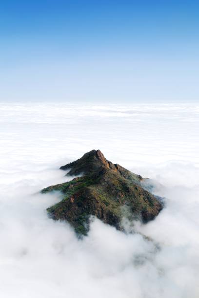 A lush mountain peak above a thick layer of clouds