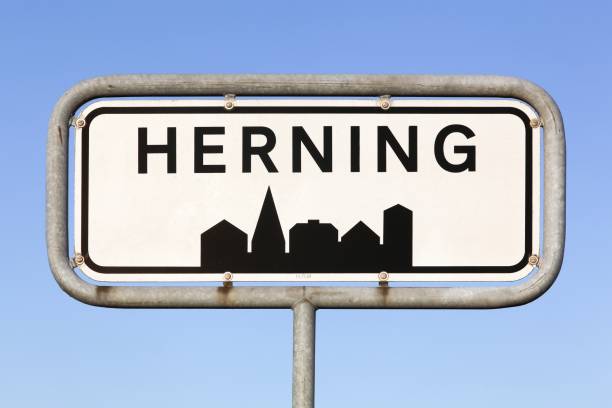 istock Herning city road sign in Denmark 1080453512