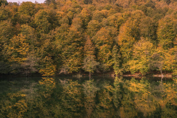 istock Bolu yedigoller national park 1080459166