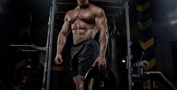 muskulöser mann trainieren sie im fitness-studio-übungen. - abdominal muscle muscular build barbell bicep stock-fotos und bilder