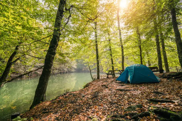Photo of Camping in Bolu yedigöller national park