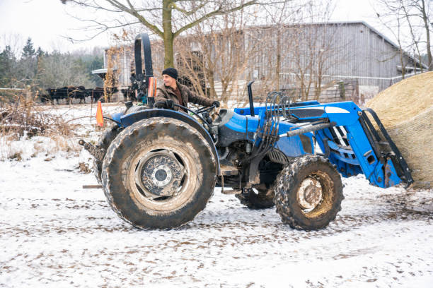 A farmer moving a hay bale to a beef cattle barn on a winter day.