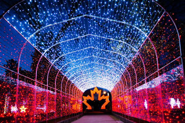 istock Windsor, Ontario - Christmas Display in Jackson Park 1080475146