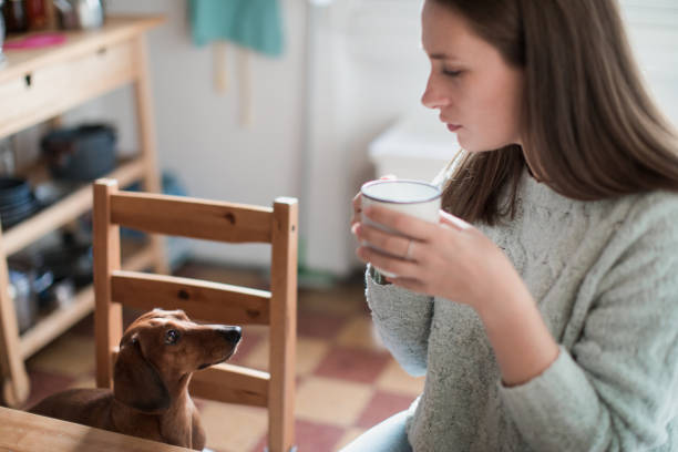 istock Woman having breakfast with her dog 1080477668