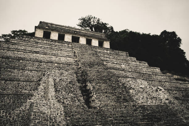 istock Mayan Ruins Palenque, Mexico 1080499168