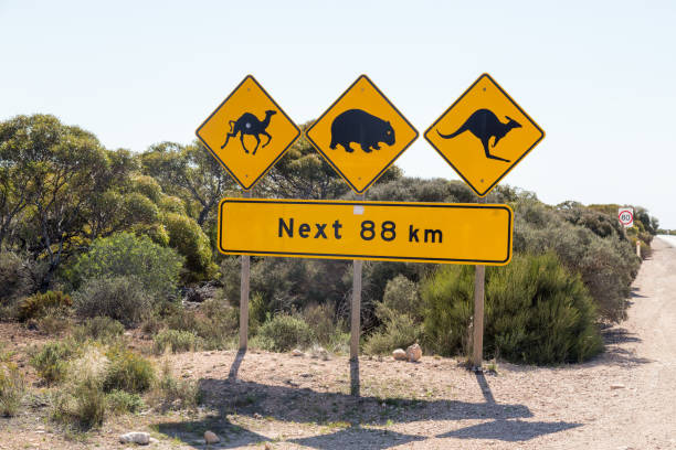 istock Unusual road sign 1080535554