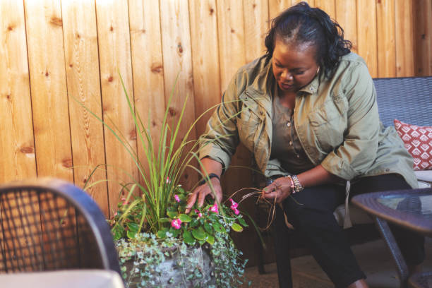 senior african-american female active outdoors trimming flowering yard plants on an autumn evening - senior women rose women flower bed imagens e fotografias de stock