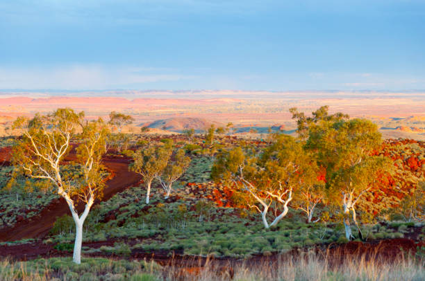 Hamersley Range Hamersley Range - Pilbara - Australia the pilbara stock pictures, royalty-free photos & images