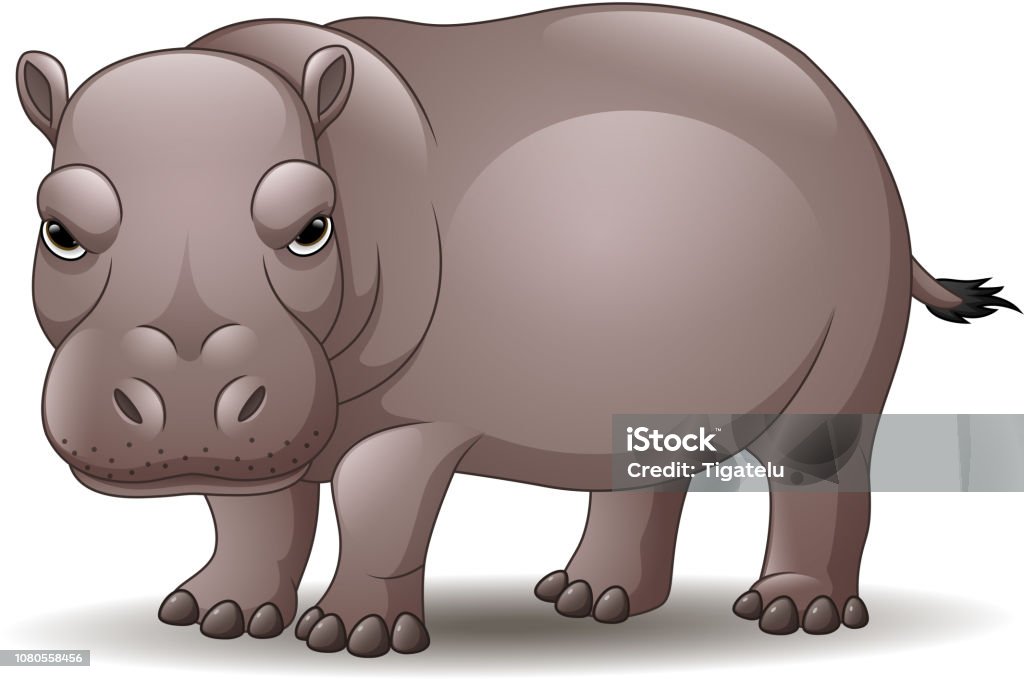 Cartoon Funny Hippo Isolated On White Background Stock Illustration -  Download Image Now - Anger, Hippopotamus, Africa - iStock