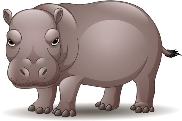 Cartoon Funny Hippo Isolated On White Background Stock Illustration -  Download Image Now - Anger, Hippopotamus, Africa - iStock