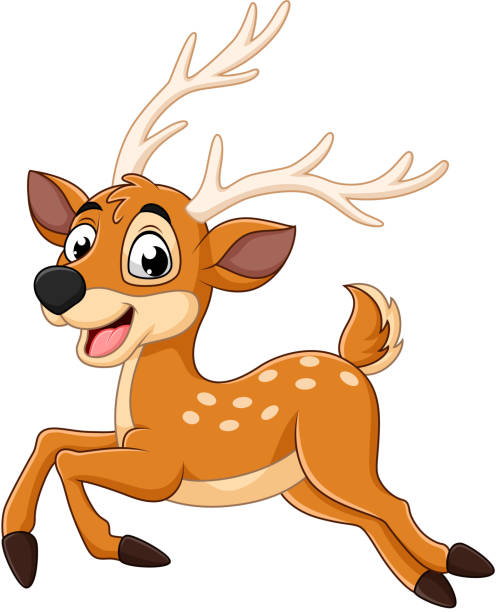 만화 아기 사슴 실행 - stag deer doe cartoon stock illustrations