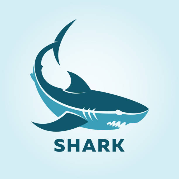 Shark character silhouette. Shark icon side view Blue shark character silhouette. Vector icon of shark. tiger shark stock illustrations