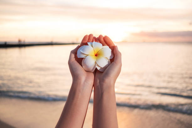 woman with flowers on head watching sunset on the beach - women hawaii islands beach beauty in nature imagens e fotografias de stock