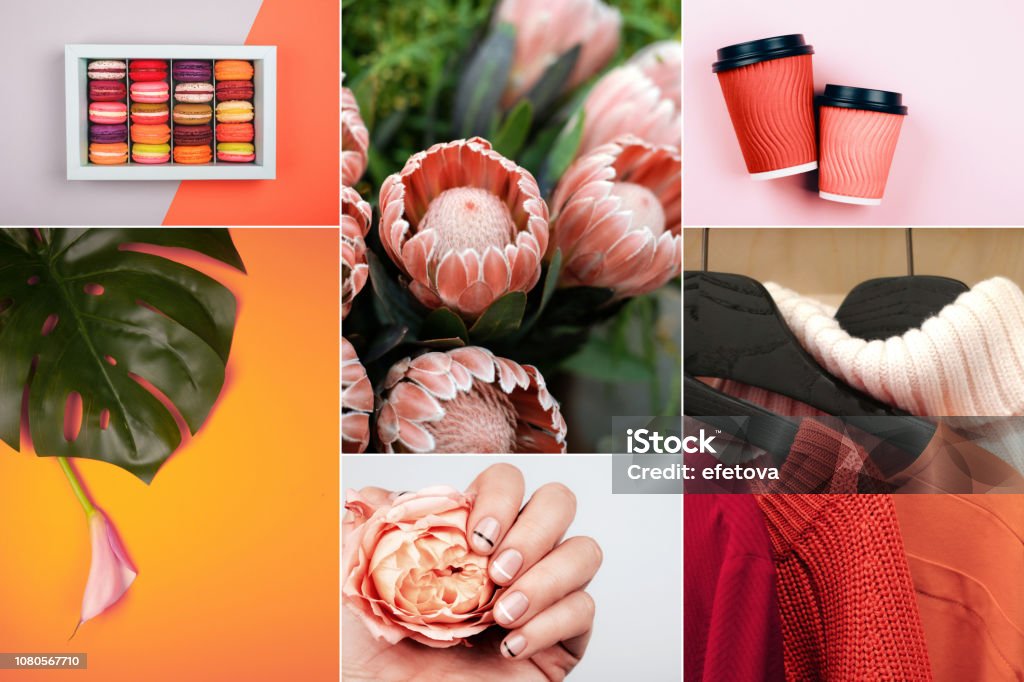 Collage creativo en color Coral viven - Foto de stock de Mood Board libre de derechos