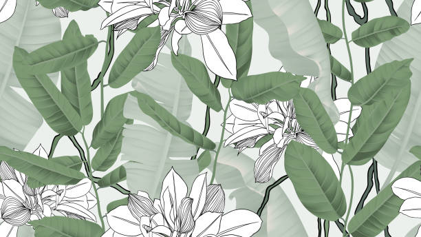 botaniczny bezszwowy wzór, liście bananowca, winorośl i inne liście na jasnozielonym tle - backgrounds tropical climate repetition pattern stock illustrations