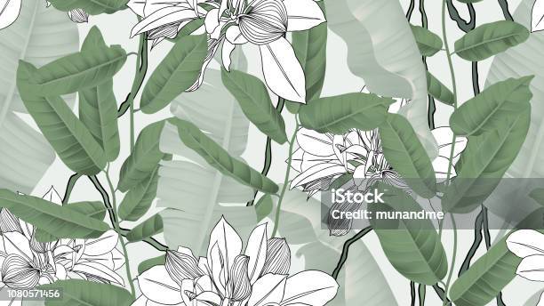 Botanical Seamless Pattern Banana Leaves Vines And Other Leaves On Light Green Background Stock Illustration - Download Image Now