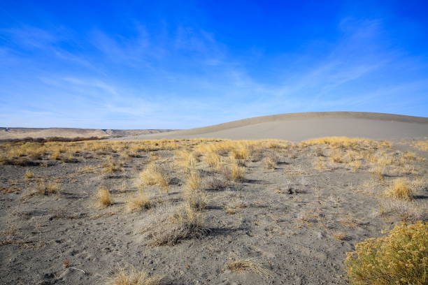 istock Bruneau Dunes State Park, Idaho-USA 1080588426