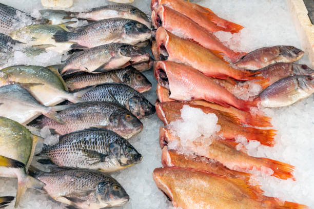 istock Fresh fish for sale at a market 1080597026