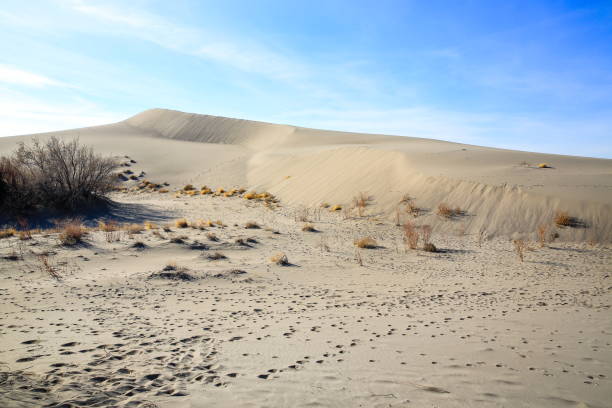 istock Bruneau Dunes State Park, Idaho-USA 1080597360